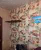 Сдам 3-комнатную квартиру в Екатеринбурге, Уралмаш, Коммунистическая ул. 20, 60 м²