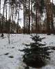 Продам дом, г.о. Ревда с. Кунгурка, 110.7 м², 15 соток