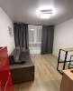 Сдам студию, Полимерный пер. 11, 20 м²