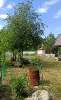 Продам дом, Белоярский г.о. СНТ Родник, 90 м², 7 соток