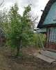 Продам дом в Екатеринбурге, Втузгородок, садоводческое некоммерческое товарищество Берёзка Вишневая ул., 50 м², 5 соток