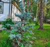 Продам дом, СНТ Брусничка 33, 110 м², 9 соток