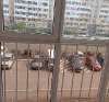 Продам 1-комнатную квартиру в Екатеринбурге, Кольцово, ул. Спутников 16/4, 37.7 м²