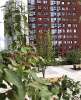 Сдам студию в Екатеринбурге, Парковый, ул. Тверитина 41, 30 м²