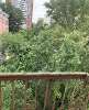 Продам 2-комнатную квартиру в Екатеринбурге, Уралмаш, пр-т Космонавтов 38, 56.8 м²
