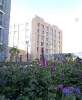 Продам 3-комнатную квартиру в Екатеринбурге, Автовокзал, ул. Сурикова 63/2, 102.2 м²