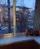 Продам 2-комнатную квартиру в Екатеринбурге, Уралмаш, ул. Культуры 26, 44 м²