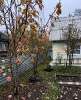 Продам дом в Екатеринбурге, Чермет, коллективный сад № 25 АО УЗТМ 277, 30 м², 7 соток