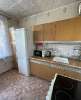 Продам 2-комнатную квартиру в Екатеринбурге, Ботанический, Родонитовая ул. 8, 47.6 м²