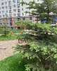 Сдам 2-комнатную квартиру в Екатеринбурге, Уралмаш, ул. Победы 102, 60 м²