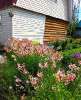 Продам дом, СНТ Уралец 43, 43 м², 6 соток