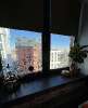 Продам студию в Екатеринбурге, Вокзальный, ул. Азина 22/2, 29.5 м²