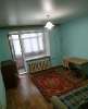 Продам 1-комнатную квартиру в Екатеринбурге, Сортировка, Ангарская ул. 52А, 30.1 м²
