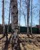 Продам дом в Екатеринбурге, Широкая речка, СТ Юбилейный-1, 51.2 м², 473 сотки