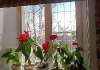 Продам 2-комнатную квартиру в Екатеринбурге, Втузгородок, Вишнёвая ул. 34, 61.6 м²