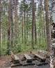 Продам 2-комнатную квартиру в Екатеринбурге, Кольцово, муниципальное образование пос. Мичуринский Широкореченская ул. 41, 53 м²