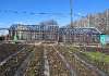 Продам дом, г.о. Верхняя Пышма СНТ Калининец № 6 142, 46 м², 8 соток