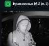 Сдам 1-комнатную квартиру в Екатеринбурге, Академический, Свердловская обл. ул. Краснолесья 16к2, 40.8 м²