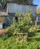 Продам дом, СТ Свет, 80 м², 7 соток
