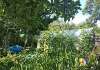 Продам дом, СНТ Строитель, 50.8 м², 475 соток
