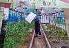 Продам дом, СТ Визовец-7, 36 м², 9 соток