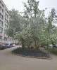 Продам 4-комнатную квартиру в Екатеринбурге, Центр, ул. Карла Маркса 36, 79.4 м²