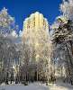 Продам 3-комнатную квартиру в Екатеринбурге, Пионерский, Шадринский пер. 14к1, 86 м²