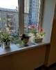 Продам 1-комнатную квартиру в Екатеринбурге, Уралмаш, ул. Индустрии 102, 30.6 м²