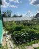 Продам дом в Екатеринбурге, ЖБИ, садоводческое некоммерческое товарищество Факел-1 29, 50 м², 5 соток
