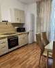 Сдам 1-комнатную квартиру в Екатеринбурге, Пионерский, ул. Раевского 4, 50 м²