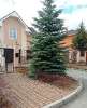 Продам дом в Екатеринбурге, УНЦ, Кольцевая ул. 4, 387 м², 10 соток