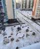 Продам студию в Екатеринбурге, Компрессорный, Латвийская ул. 58, 21.8 м²