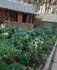 Продам дом, 37 м², 8 соток