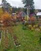 Продам дом, СНТ Дружба, 30 м², 7 соток