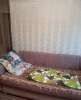 Сдам комнату в Екатеринбурге, Эльмаш, пер. Замятина 36, 55 м²