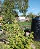 Продам дом, СТ Волна, 30 м², 5 соток