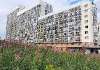Сдам студию в Екатеринбурге, Уктус, Рощинская ул. 27, 24 м²