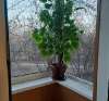 Продам 2-комнатную квартиру в Екатеринбурге, Чермет, ул. Патриса Лумумбы 23А, 43.3 м²