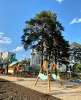 Продам комнату в 2-к квартире в Екатеринбурге, Чермет, жилой район  ул. Умельцев 11, 11 м²