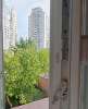 Продам 1-комнатную квартиру в Екатеринбурге, Центр, пер. Красный д. 1а, 49 м²